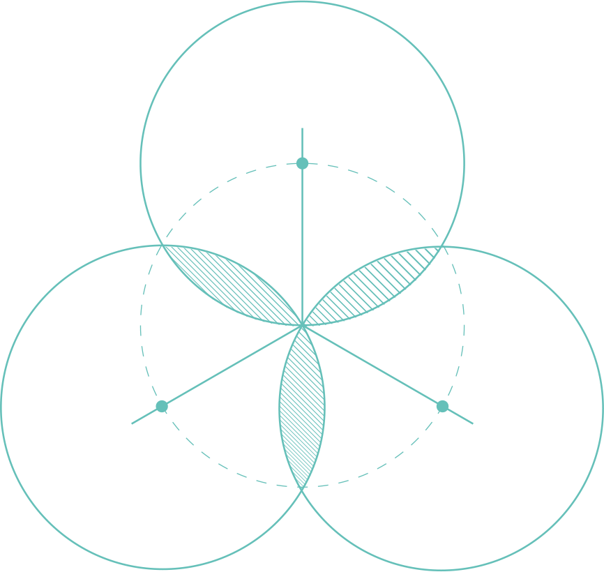 Efektívne, Lokálne, Cielene